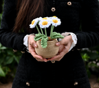 Cute Daisy Plant Pot – Handmade Desk Decor