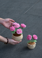 Cute Rose Plant Pot – Handmade Desk Decor