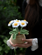 Cute Daisy Plant Pot – Handmade Desk Decor